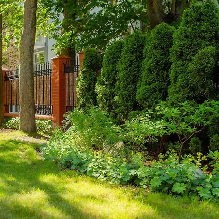 Daire Michano Premium *