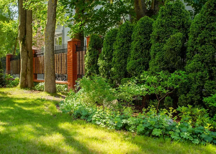 Apartman Michano Premium *